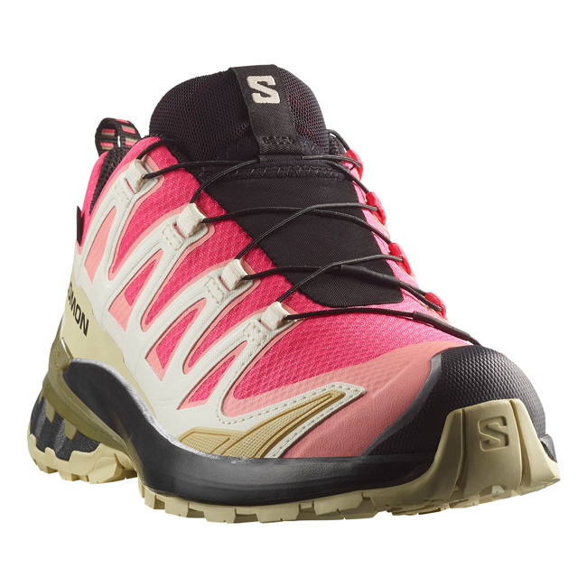 sapatos de caminhada salomon xa pro 3d v9 gtx w rouger/vanila