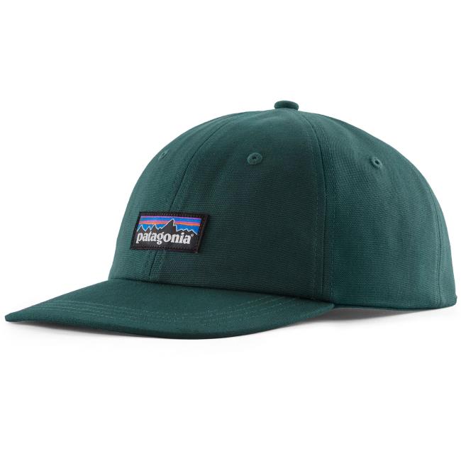 patagonia p-6 label trad cap cascade green