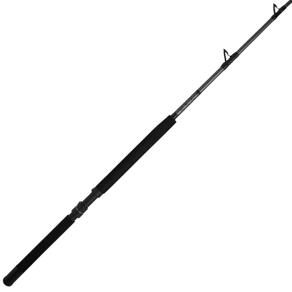 PENN Cana jigging Ally™ II Boat Conventional