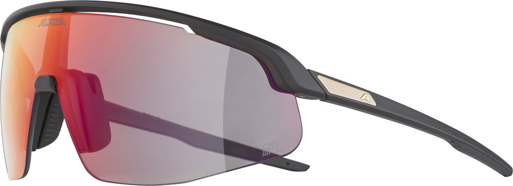 Alpina Turbo Pro QV - Sports Glasses