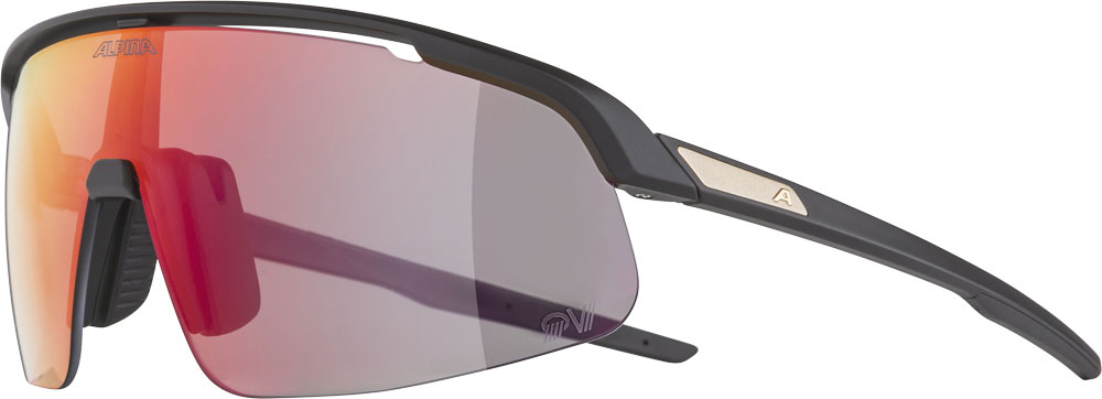 Alpina Turbo Pro S QV - Sports Glasses