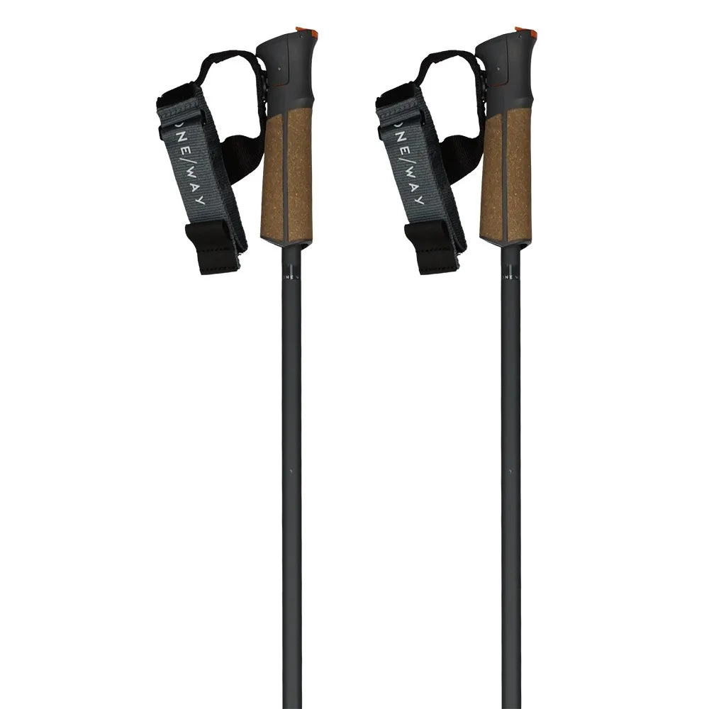 Fischer Bastões GT 13 Comp Mag