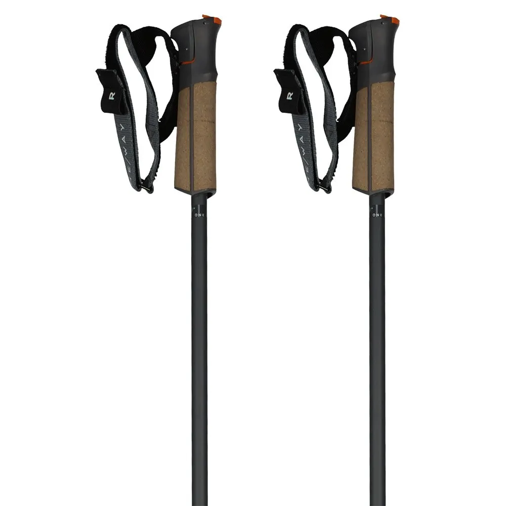 Fischer Bastões GT 13 Comp Mag