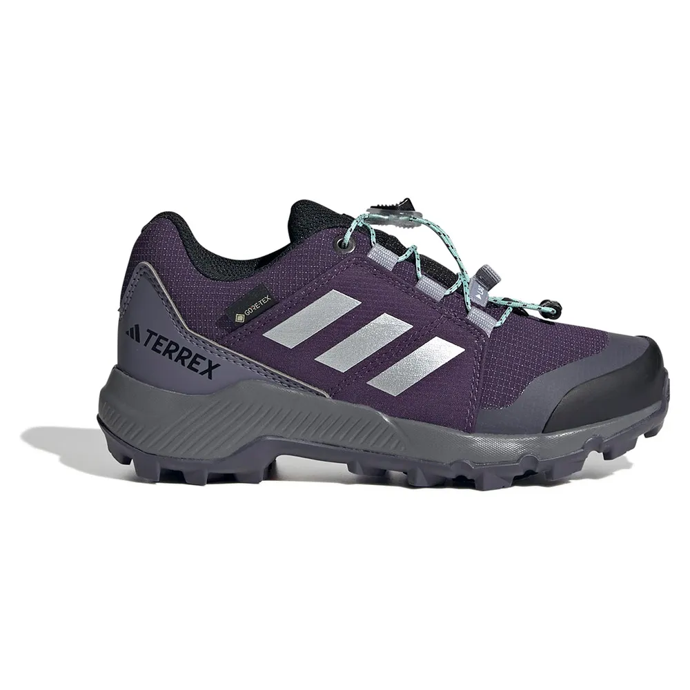 adidas Sapatos de caminhada Terrex Goretex