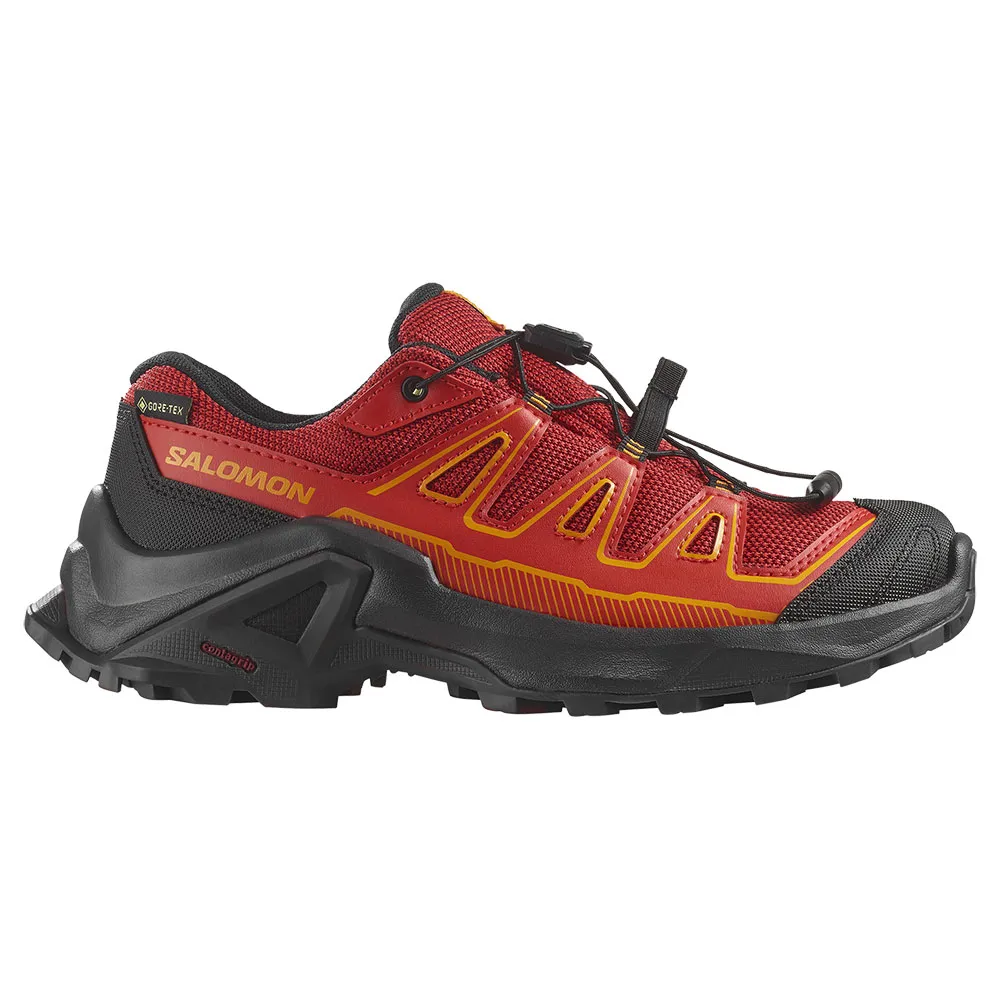 Salomon Sapatos de caminhada X Ultra Goretex