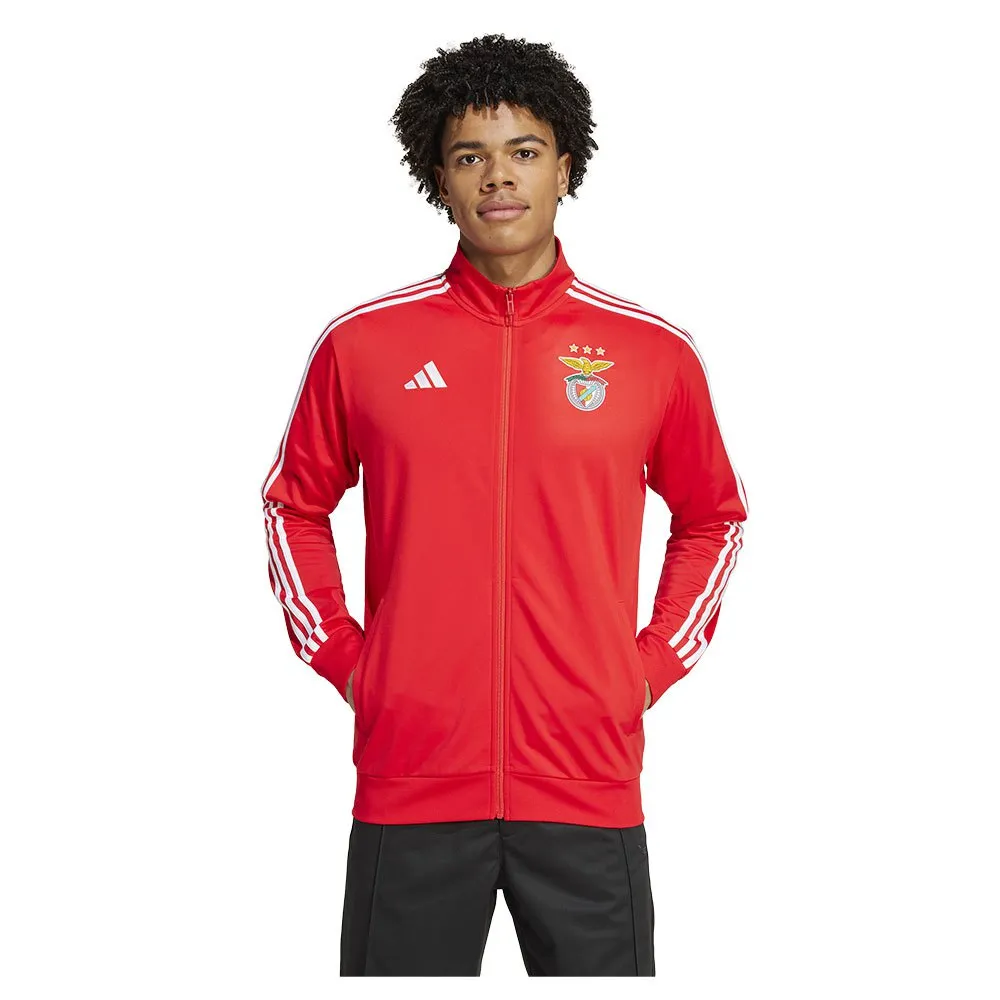 adidas Jaqueta de treino Benfica 24/25 DNA