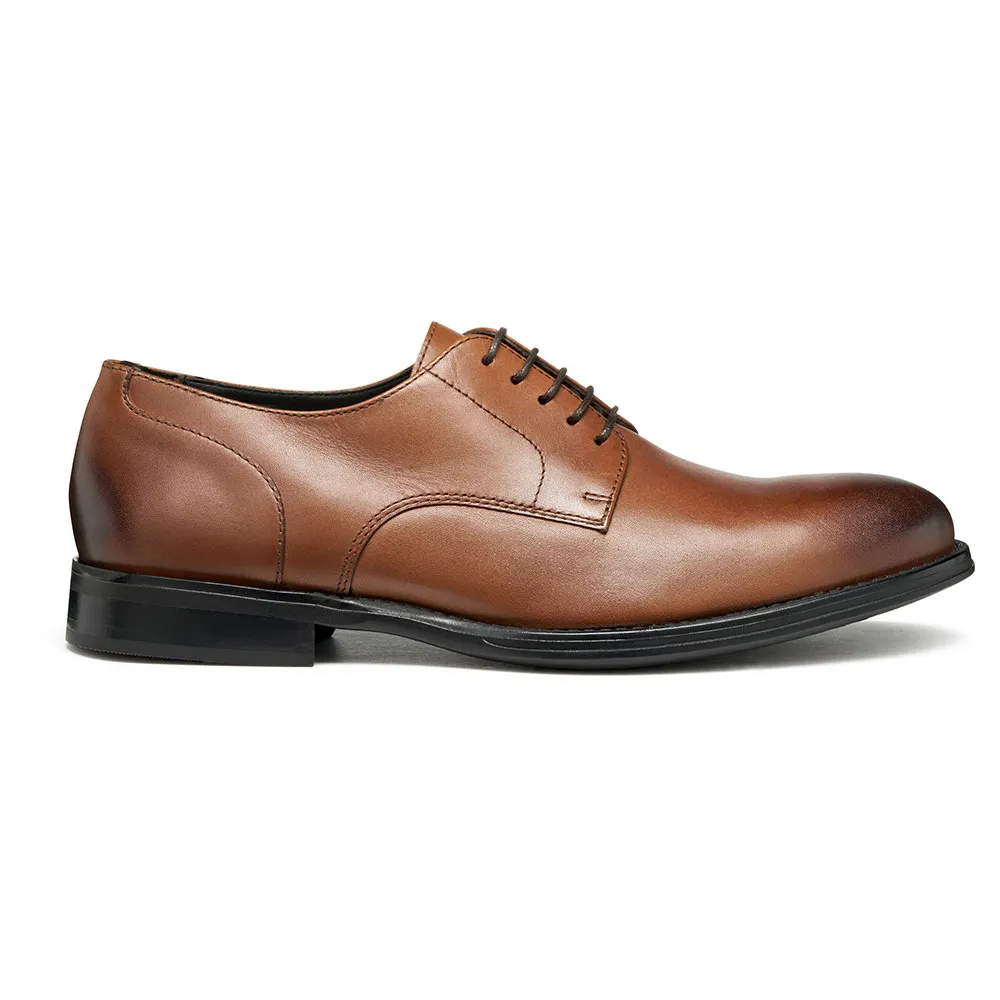 Geox Sapatos Barberigo